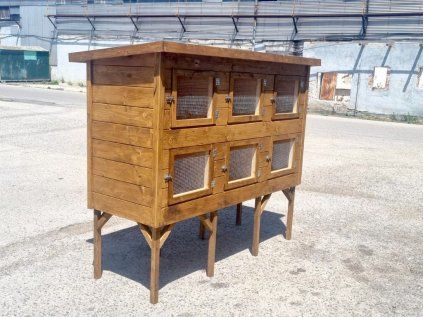 zajacnik2 Premium